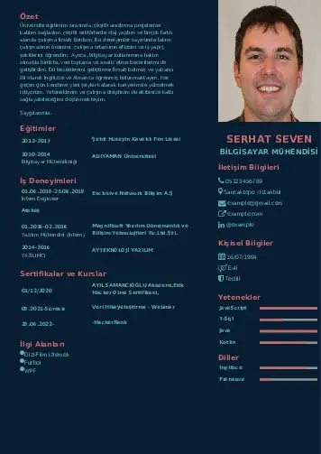 cv indir